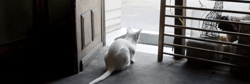 Capture d’écran 2017-11-24 à 17.19.20