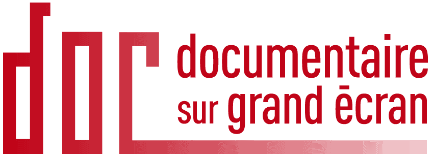 dsge logo_red2