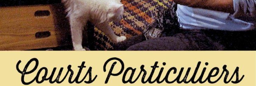 1106 Courts particuliers AFFICHE