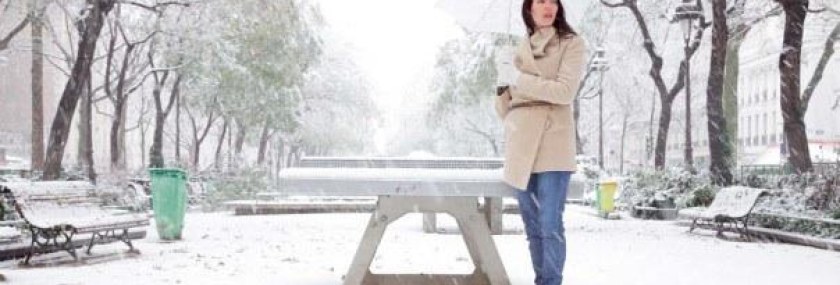 684_la_vie_parisienne