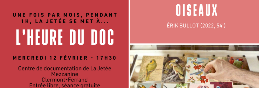 L’heure du doc 2025 – la langue des oiseaux